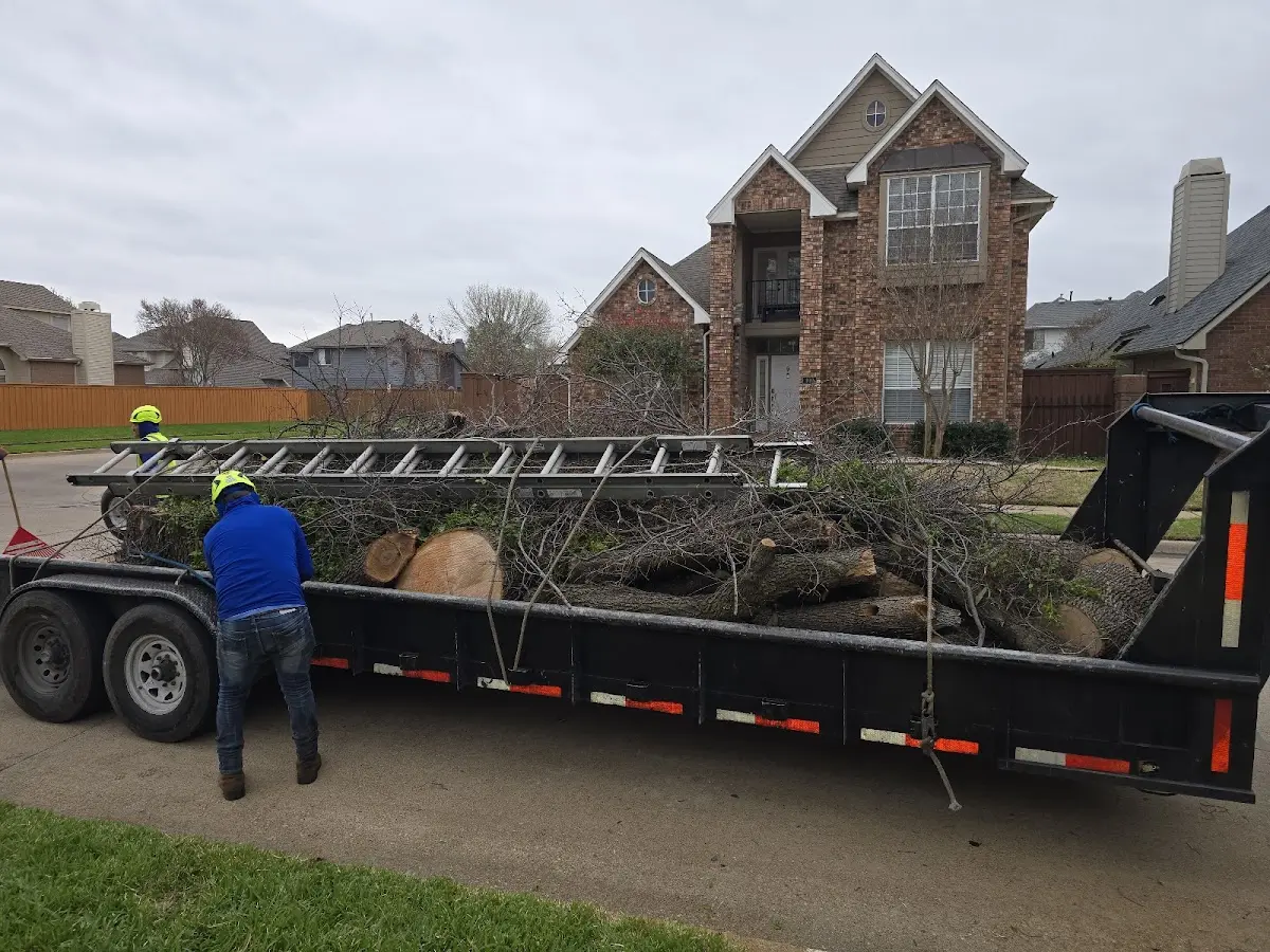 Expert Tree Fertilization with proper safety equipment in Raven